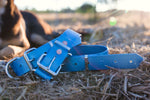 Dog Collar PVC 32mm - Smokey Blue