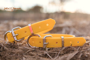 Pup Collar PVC 25mm - Yellow