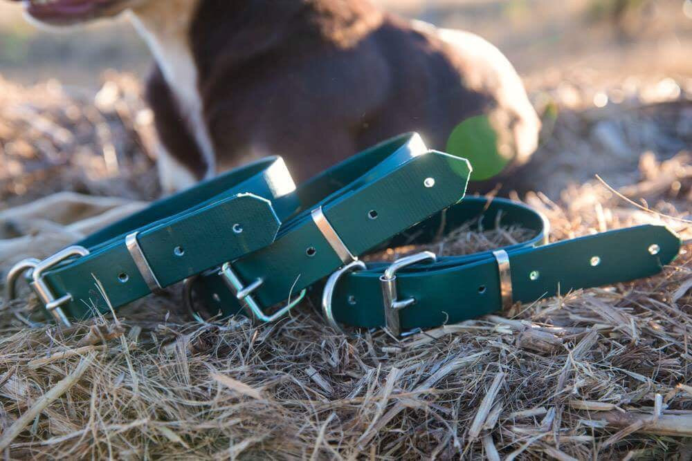 Dog Collar PVC 32mm - Green