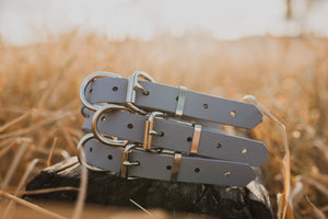 Dog Collar Biothane 25mm - Grey