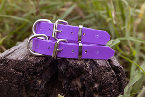 Pup Collar PVC 25mm -  Purple