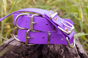 Dog Collar PVC 32mm - Purple