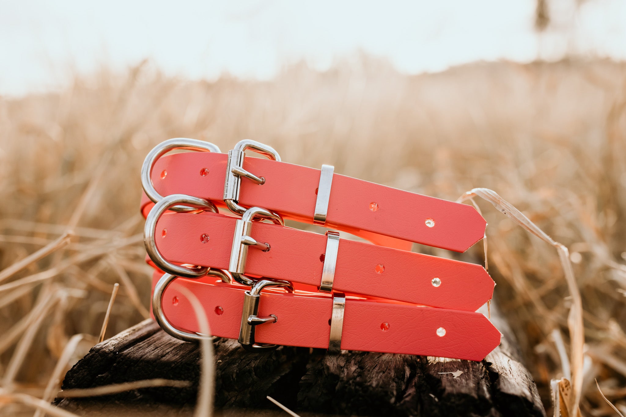 Dog Collar Biothane 25mm - Coral