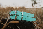 Dog Collar Biothane 25mm - Mint