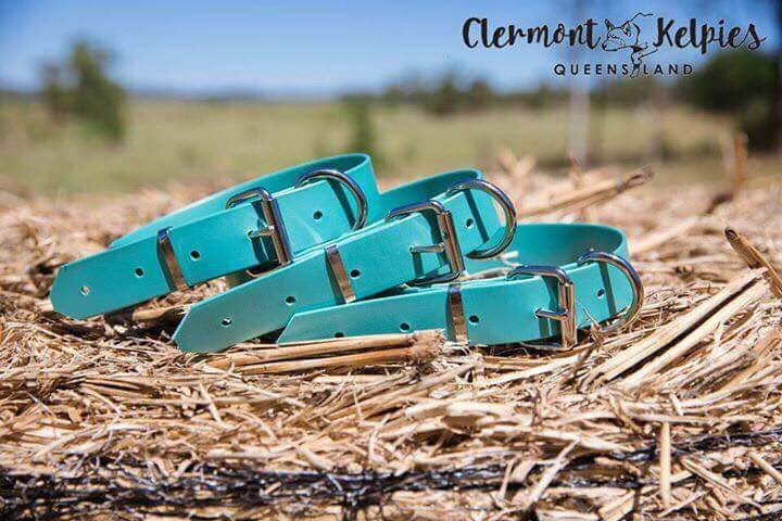 Dog Collar PVC 32mm - Ocean Shimmer