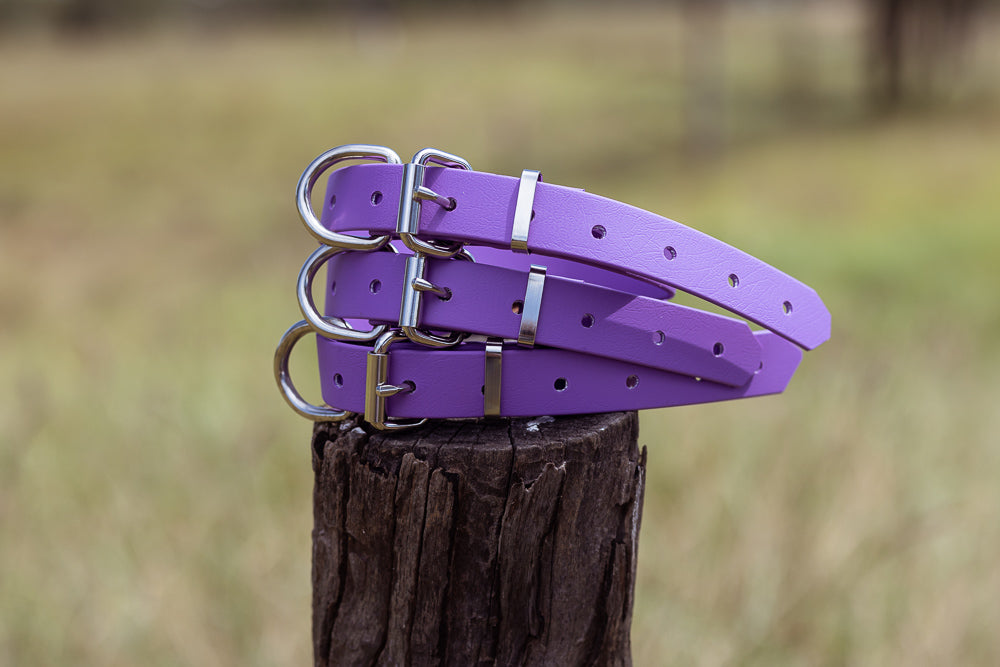 Dog Collar Biothane 25mm - Amethyst