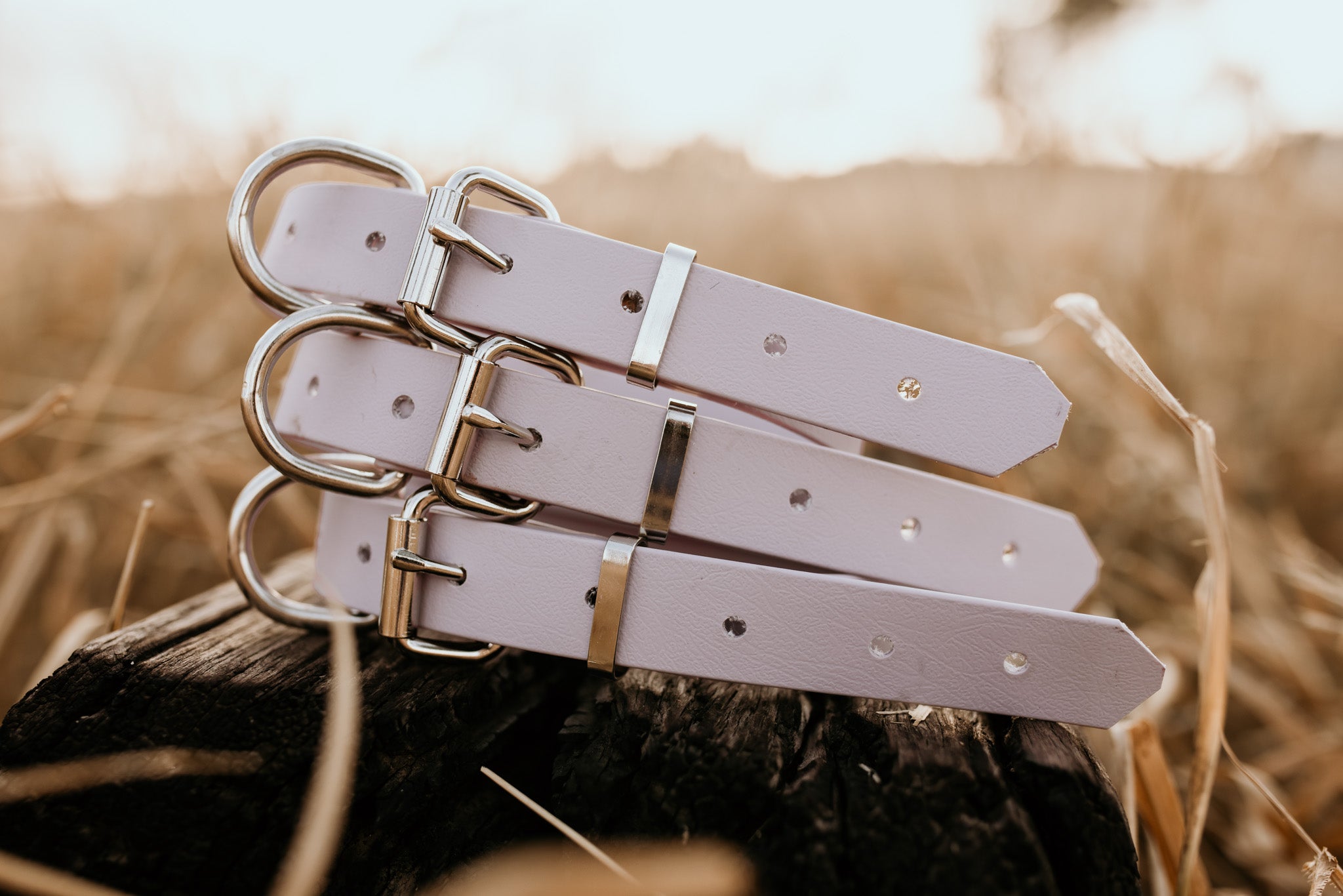 Dog Collar Biothane 25mm - Light Pink